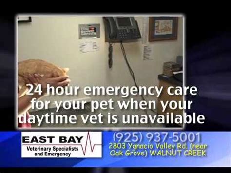 village vets emergency|East Bay Veterinary Specialists and Emergency .
